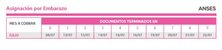 asignacixn_por_embarazo.png_1407467303