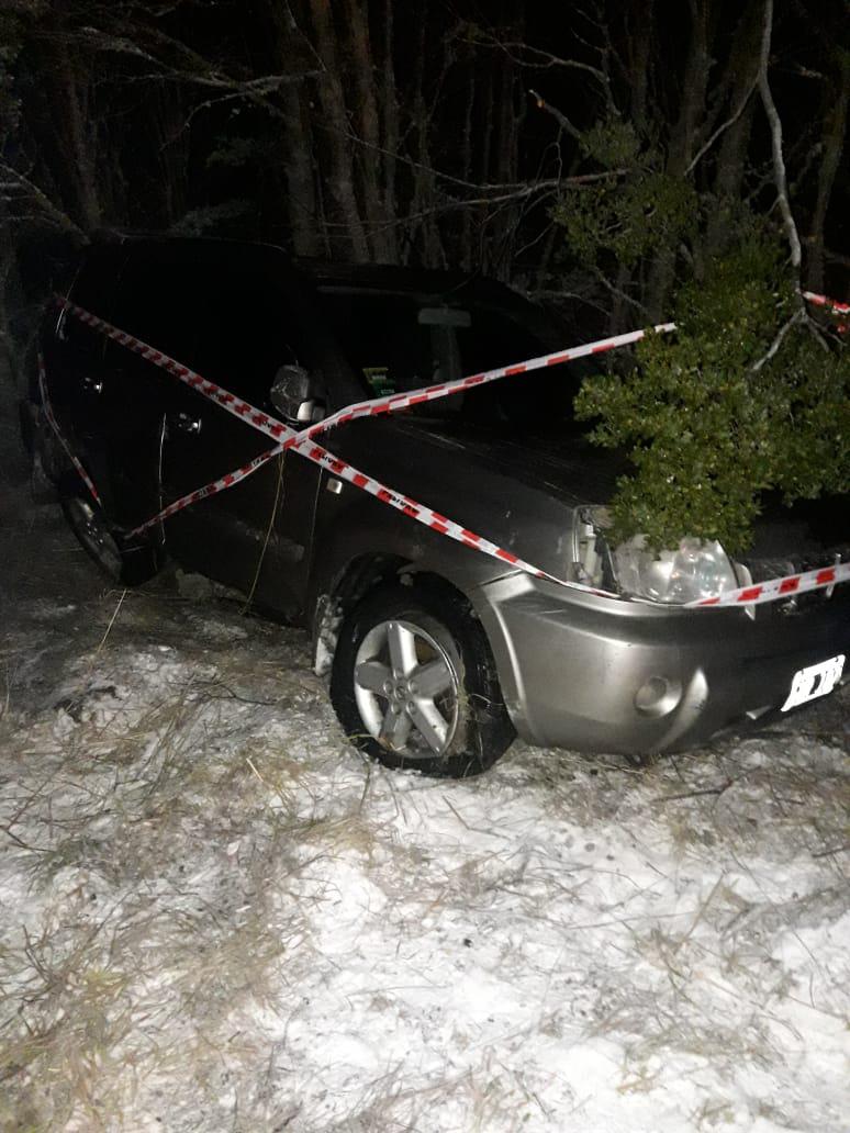 WhatsApp Image 2021-07-11 at 20.56.04