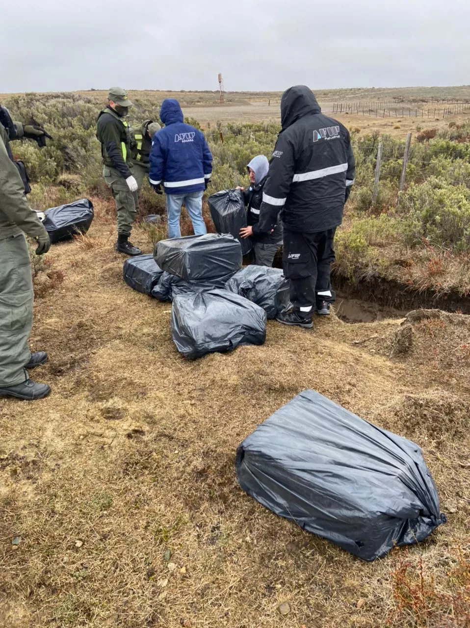 WhatsApp Image 2021-09-16 at 20.37.52