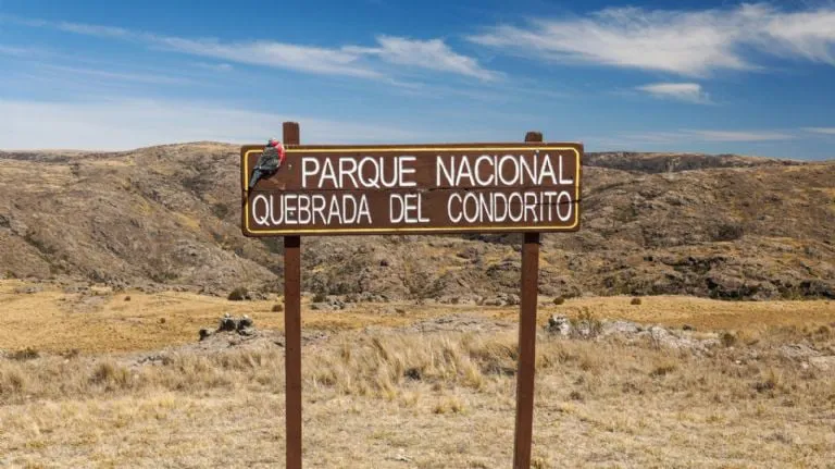 f768x1-1478508_1478635_5050