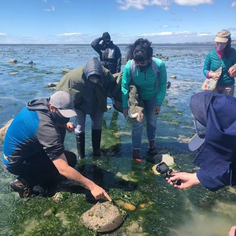 Descubrir Río Grande, Sentí tu ciudad (2)