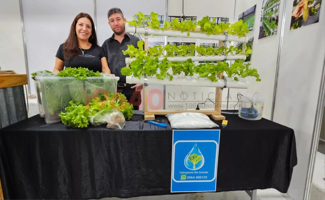 Hidroponía Río Grande (2)