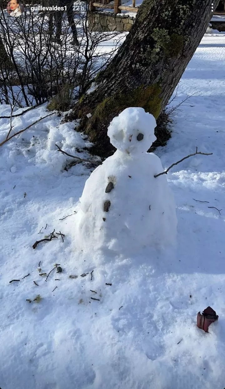 Instagram Guillermina Valdés