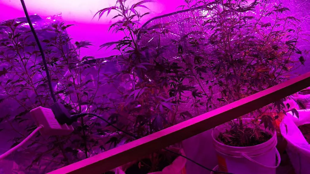 WhatsApp Image 2021-10-08 at 21.56.27