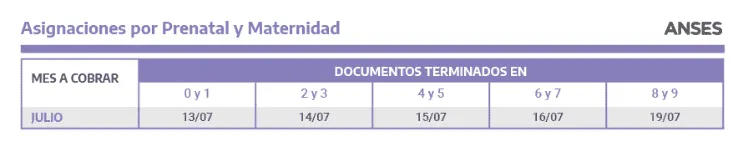 asignaciones_por_prenatal_y_maternidad.png_1407467303
