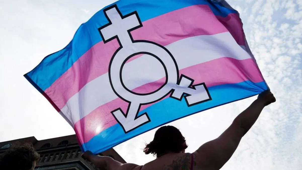 De Noviembre D A Internacional De La Memoria Transexual