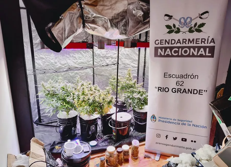 Allanamiento gendarmería