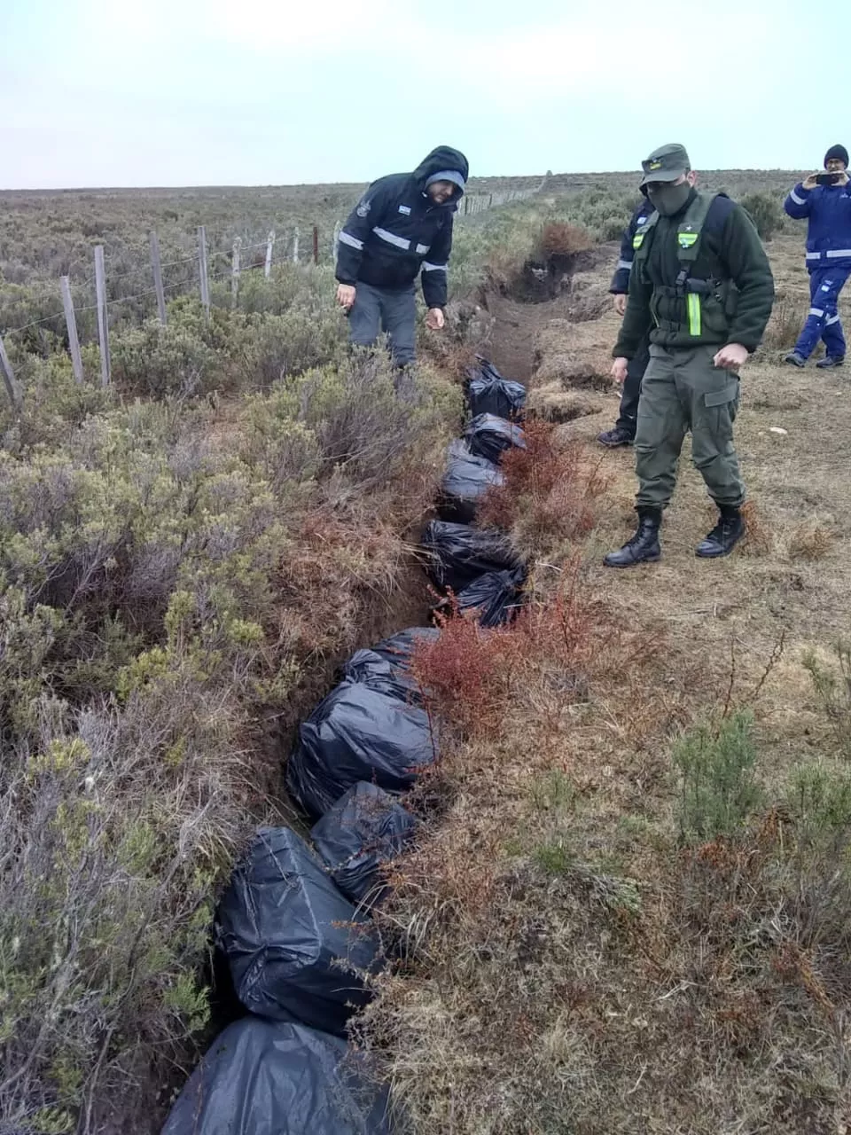 WhatsApp Image 2021-09-16 at 20.38.09