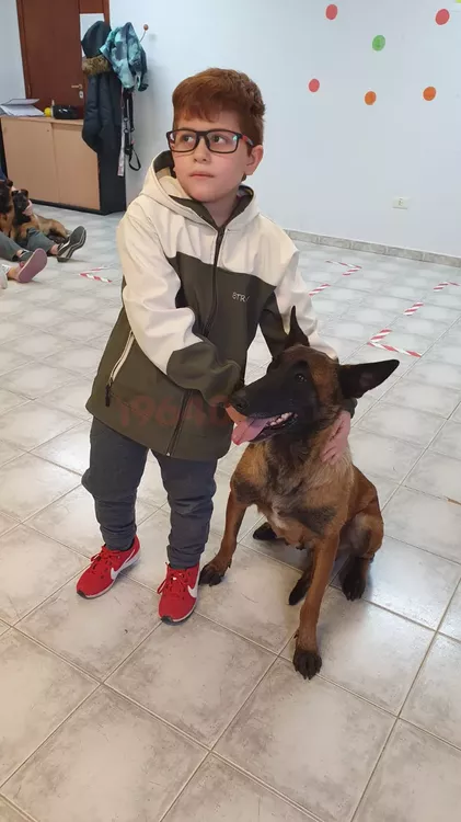 Mama Margarita visita perros