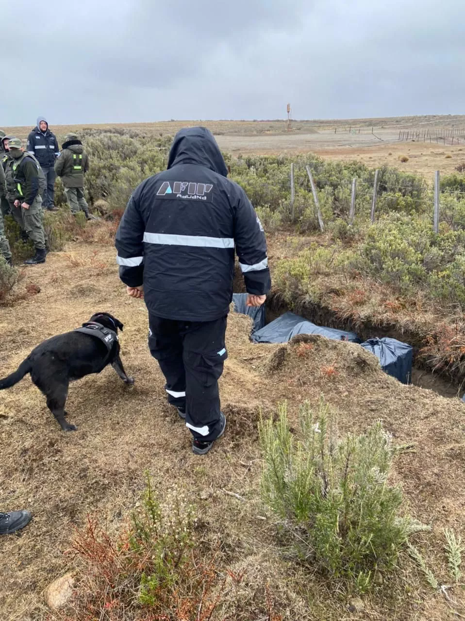 WhatsApp Image 2021-09-16 at 20.37.57