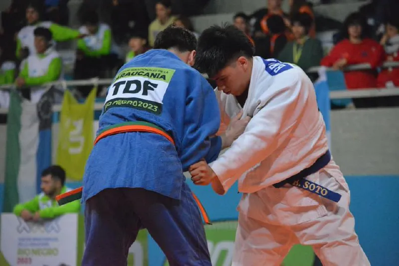  Juegos Binacionales de la Araucanía