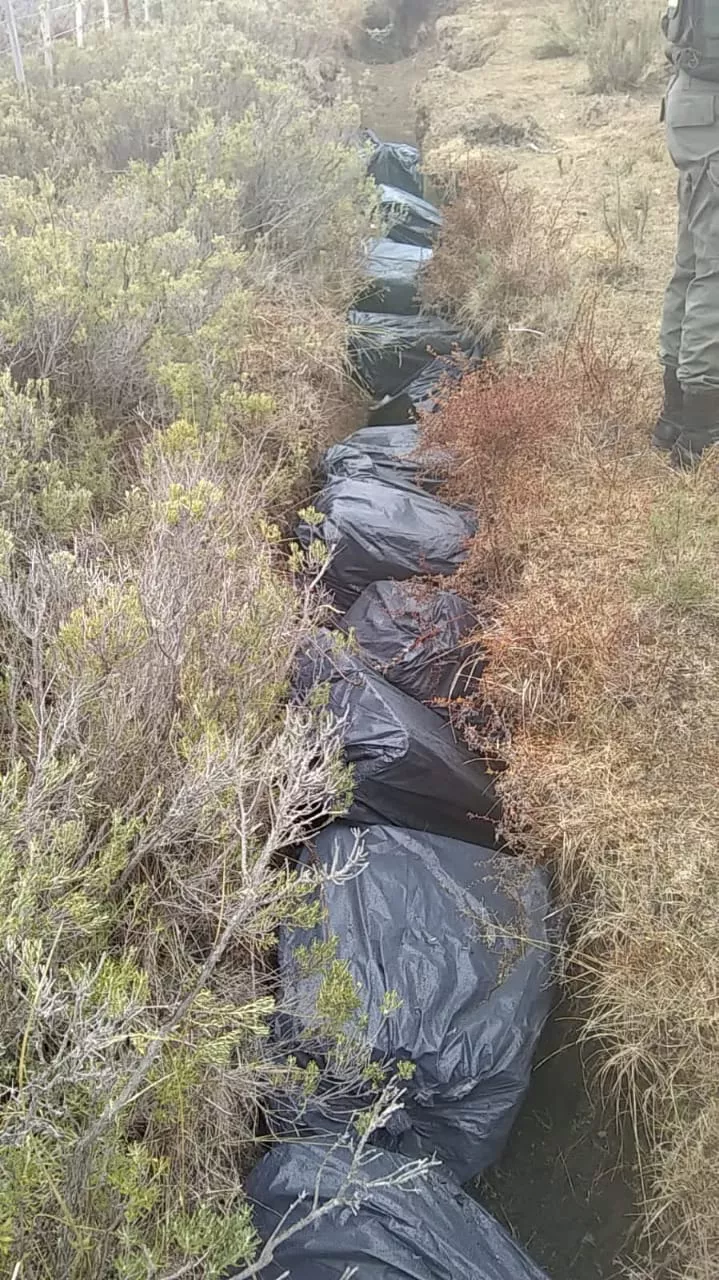 WhatsApp Image 2021-09-16 at 20.38.06