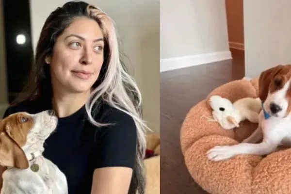 600x400_llevo-sacrificar-perro-enfermo-ano-despues-descubrio-dado-adopcion-1036715-104517