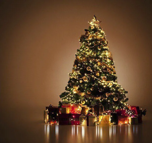 los-arboles-de-navidad-significado-600x565