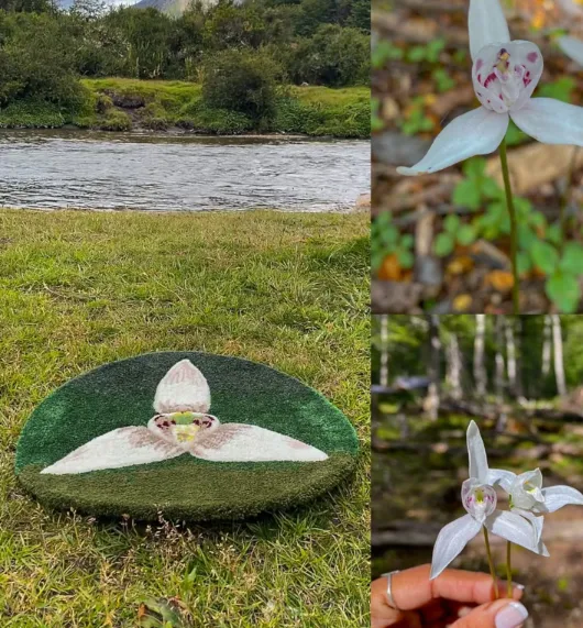 Captura de pantalla 2025-12-27 163556