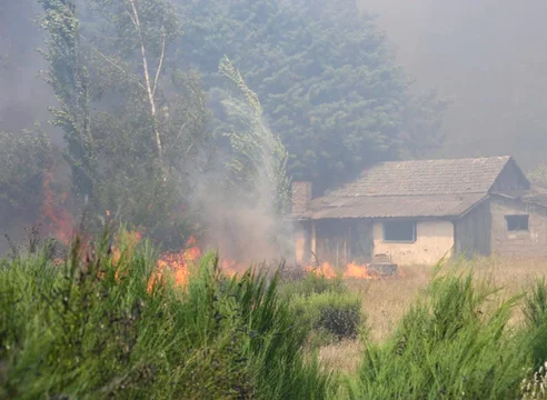 Incendio epuyen