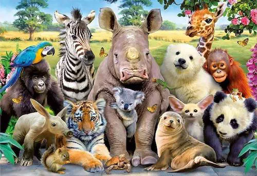 animales