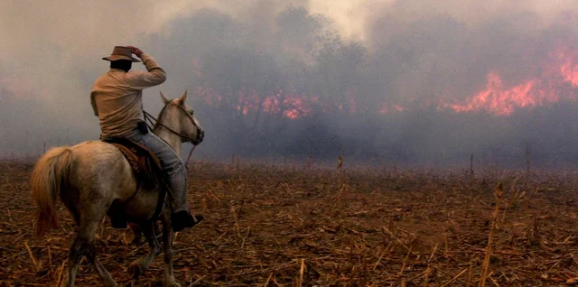 Créditos a afectados por incendios