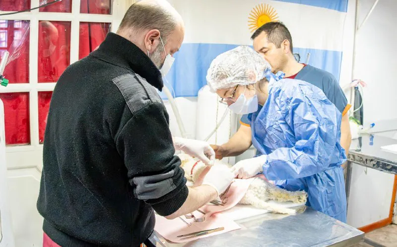 jORNADA DE CASTRACIÓN RG