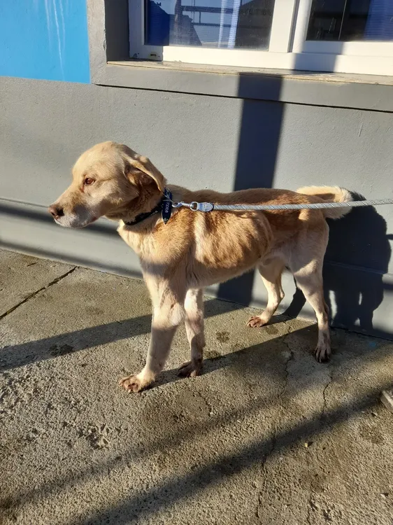 527245871_1178275251001008_7655129459245467425_n