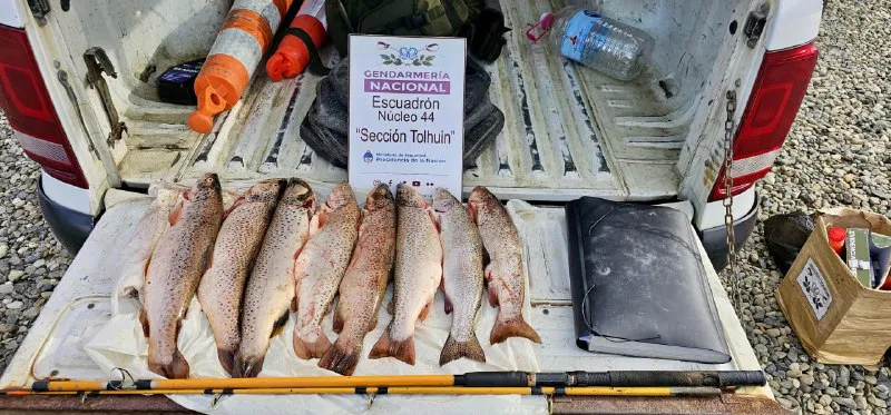 Operativo GOB, secuestro de truchas