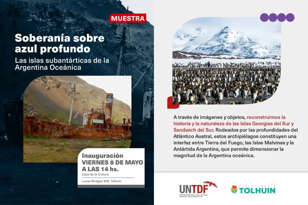 MUESTRA TOLHUIN UNDTF