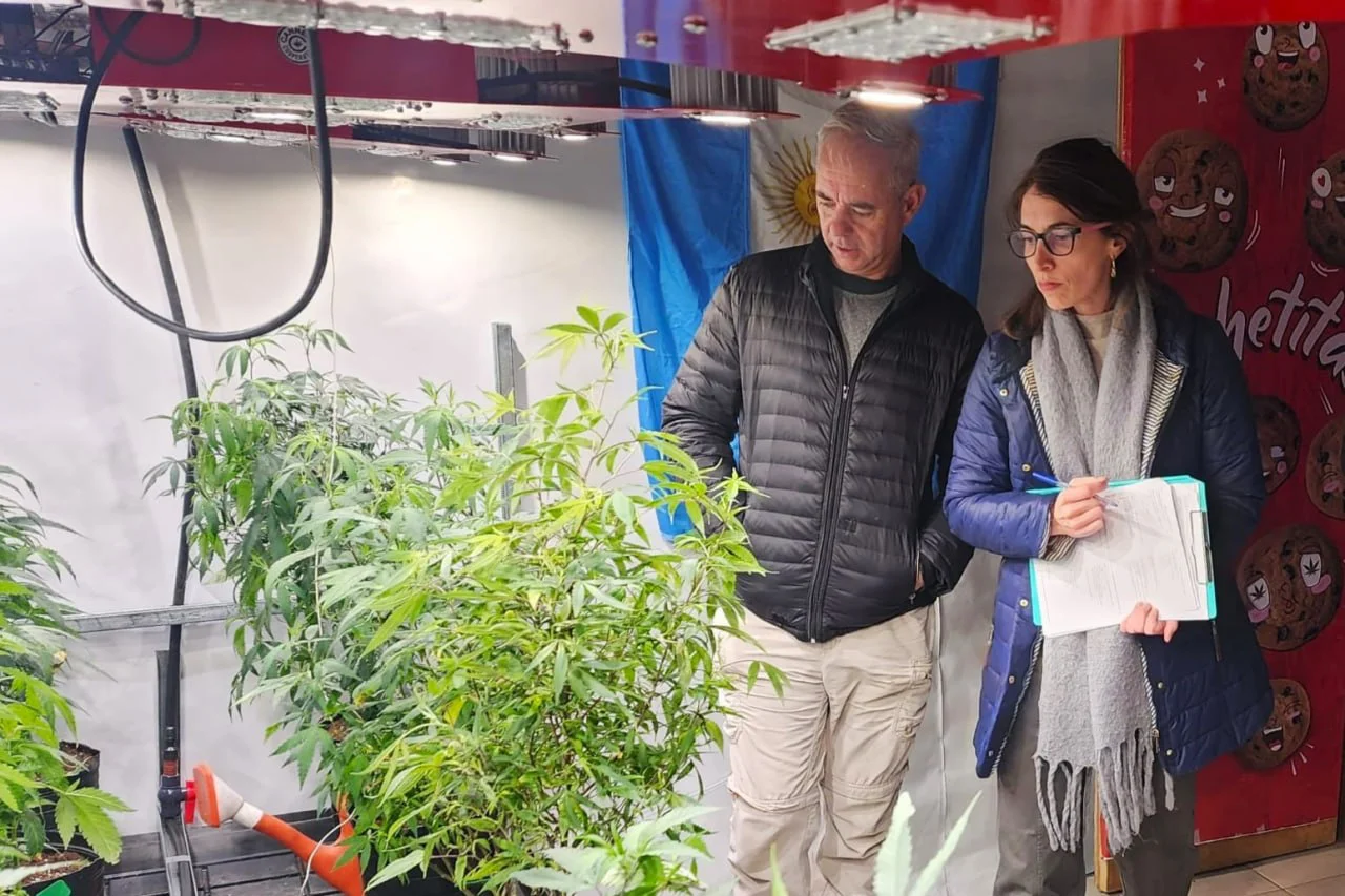 Cannabis medicinal Tierra del Fuego