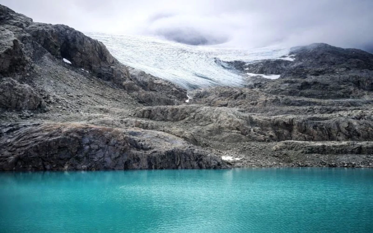 Glaciar Alvear (1)