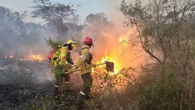 Incendios Nahuel Huapi 