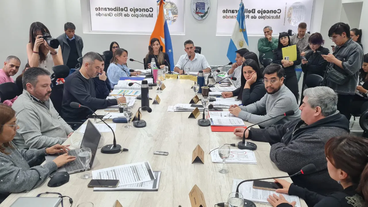 concejo deliberante 