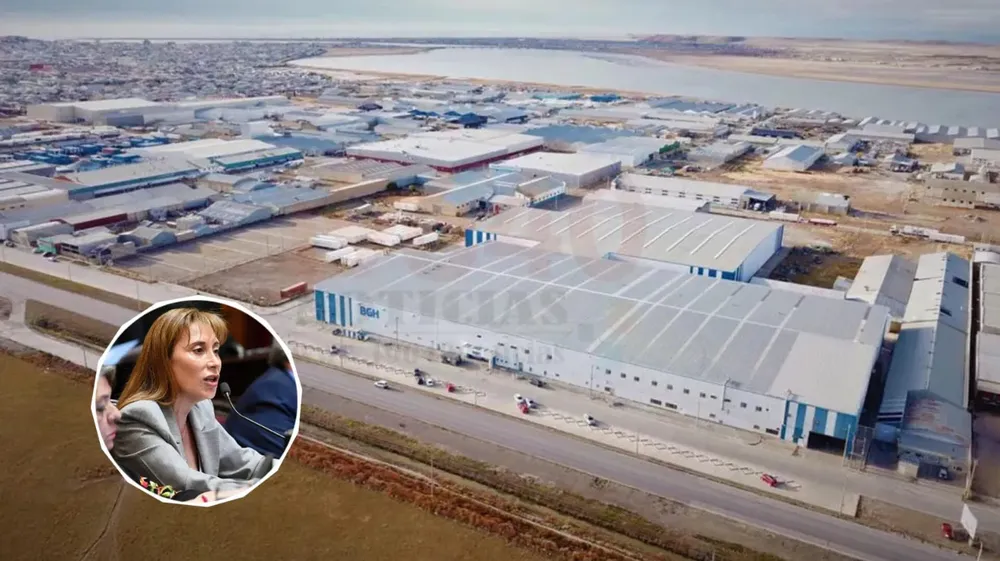 Cristina Lopez- FAMP