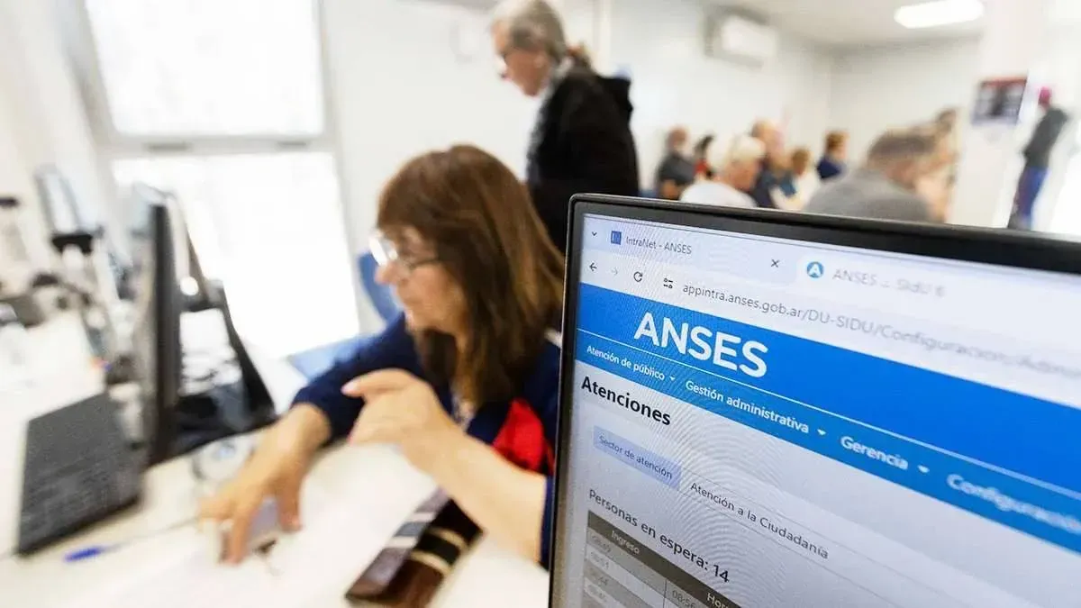 aNSES 1