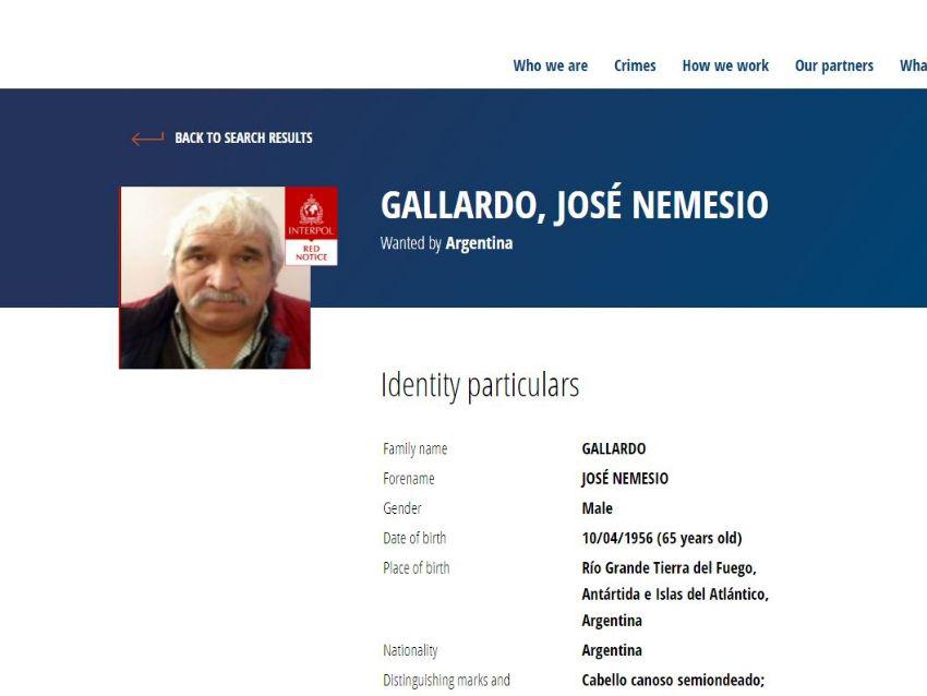 Gallardo Interpol