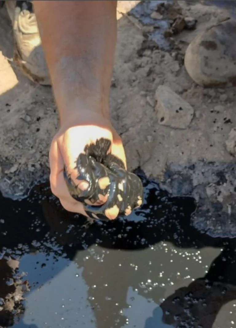 f768x1-1727286_1727413_5050