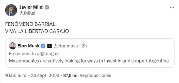 mis-empresas-estan-buscando-activamente-formas-invertir-y-apoyar-argentina-publico-elon-musk