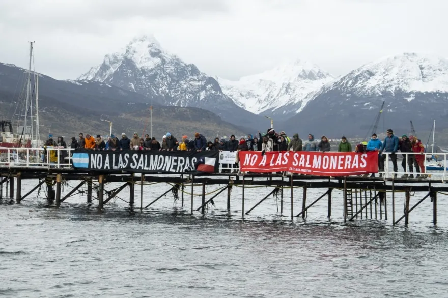 salmoneras