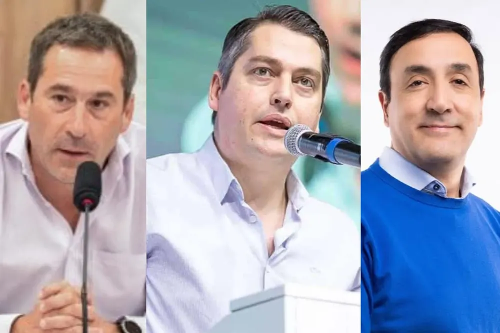 Gobernadores patagonicos