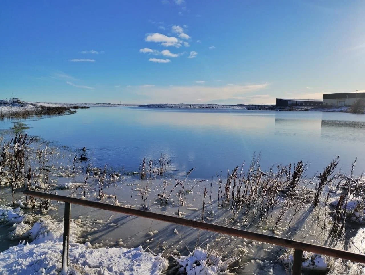 Laguna de los patos