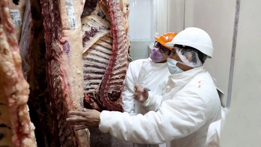 7 corte de carne