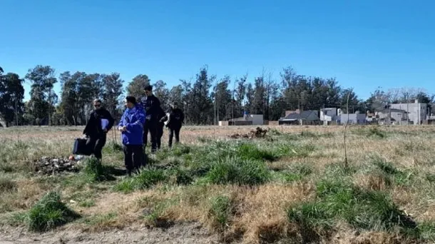 mar-del-plata-perro-bebejpg