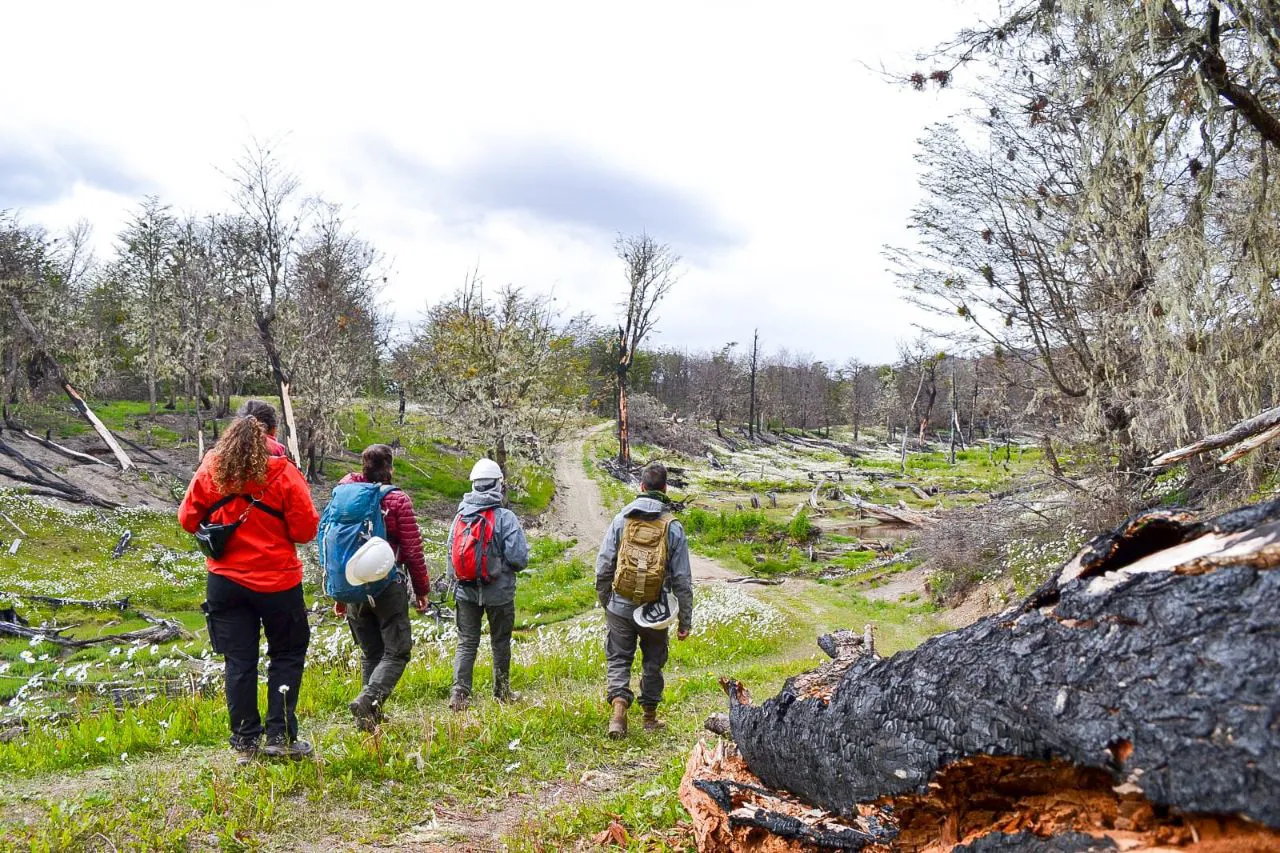 Relevamiento Corazón de la Isla