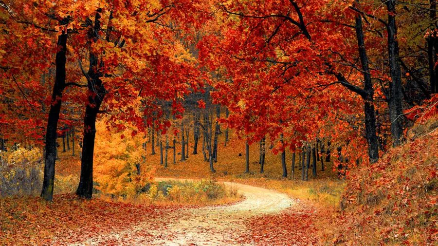 Otoño