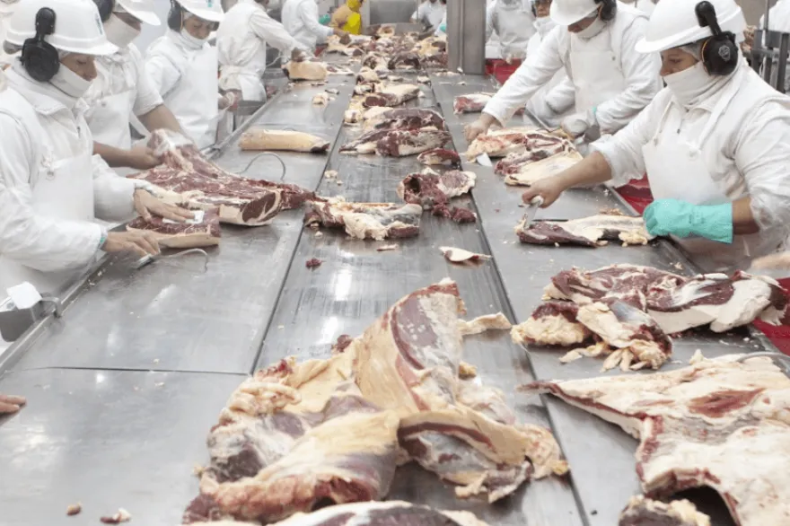 frigorifico_senasa_carne