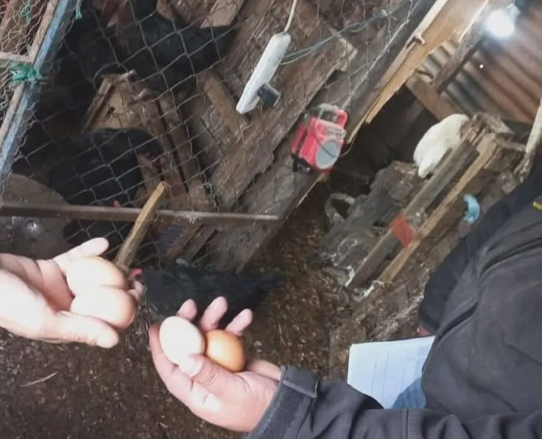 Productores locales- Municipio de Tolhuin