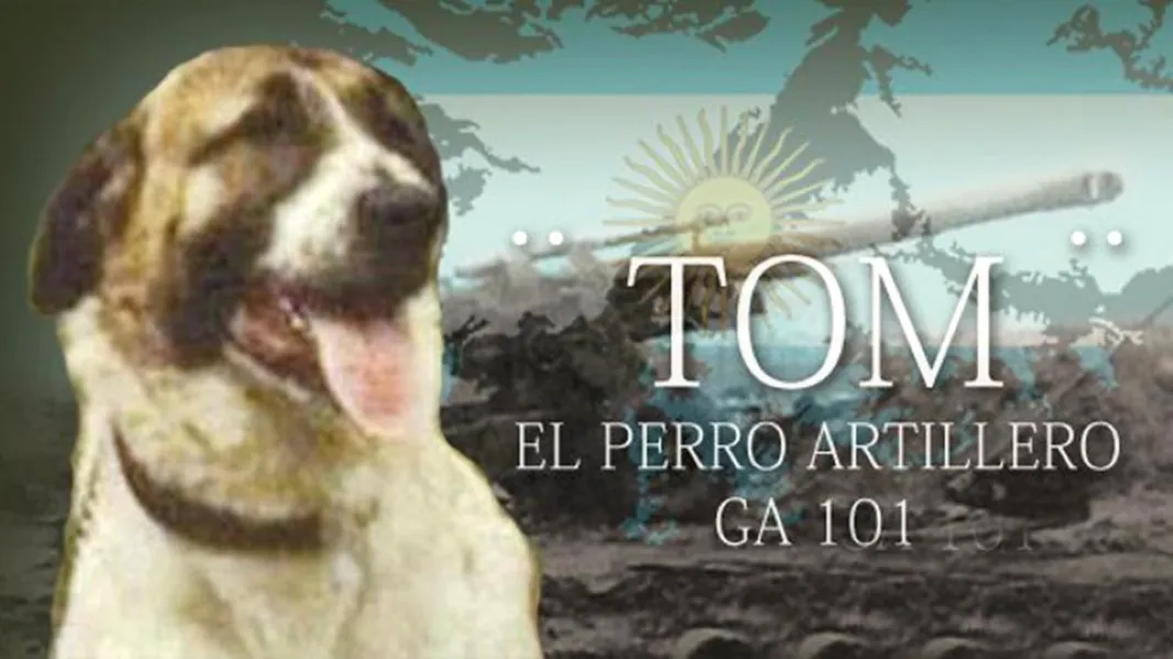 TOM MALVINAS