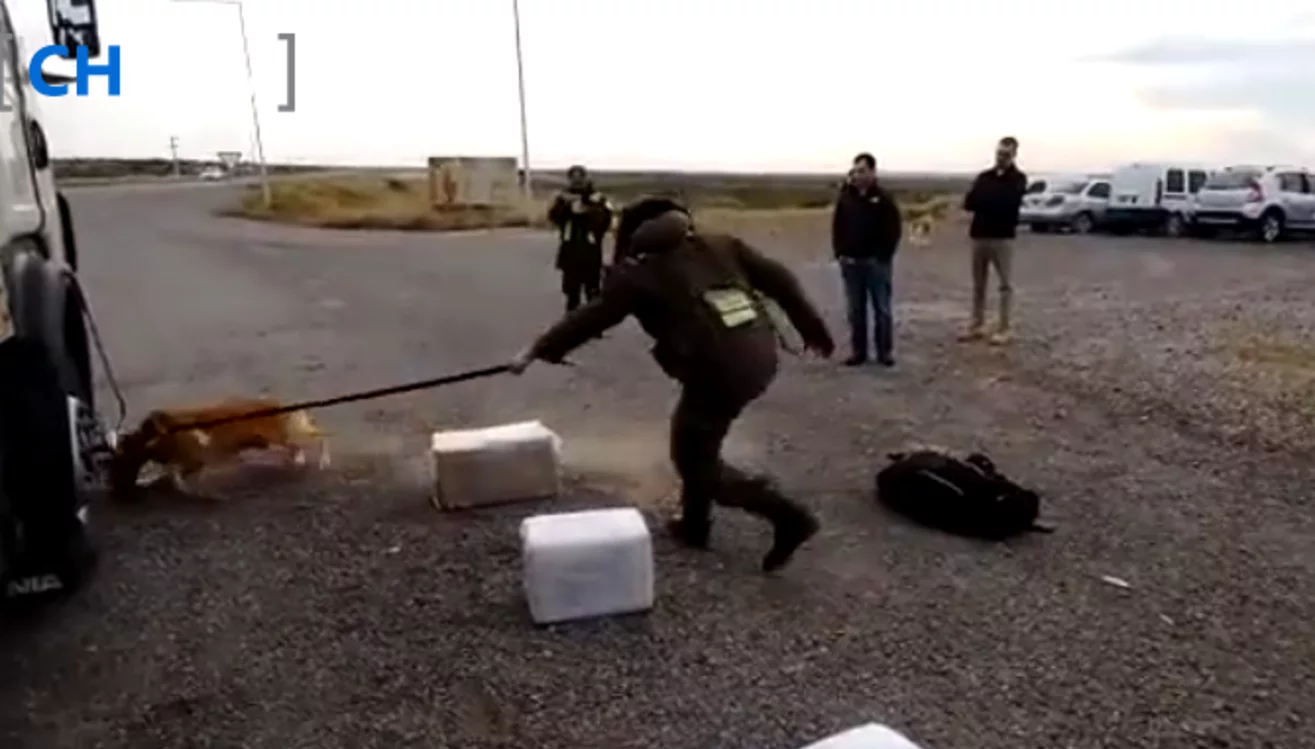 Perro antidroga