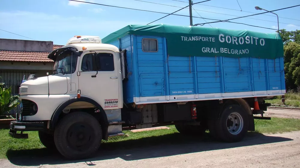 camion-gorosito