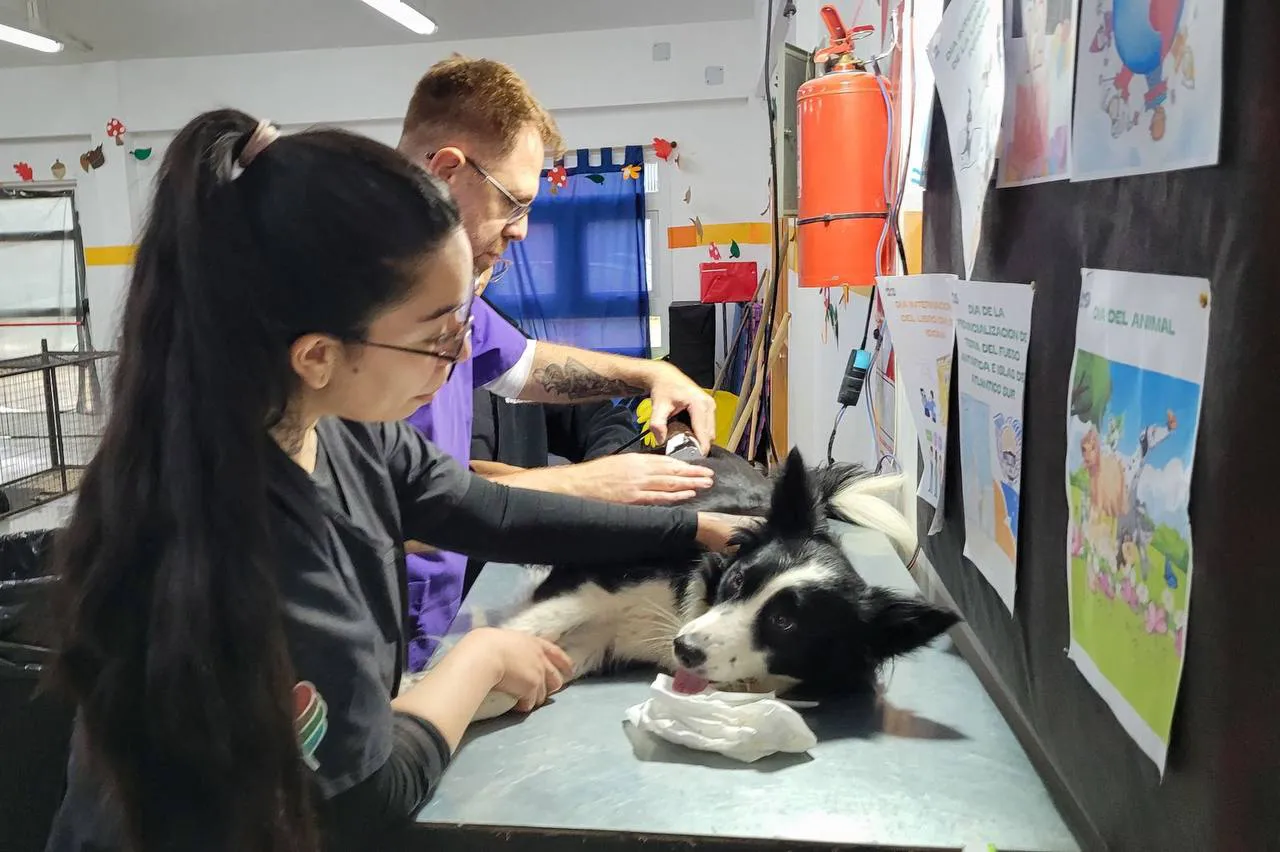 jORNADA DE CASTRACIÓN TOLHUIN