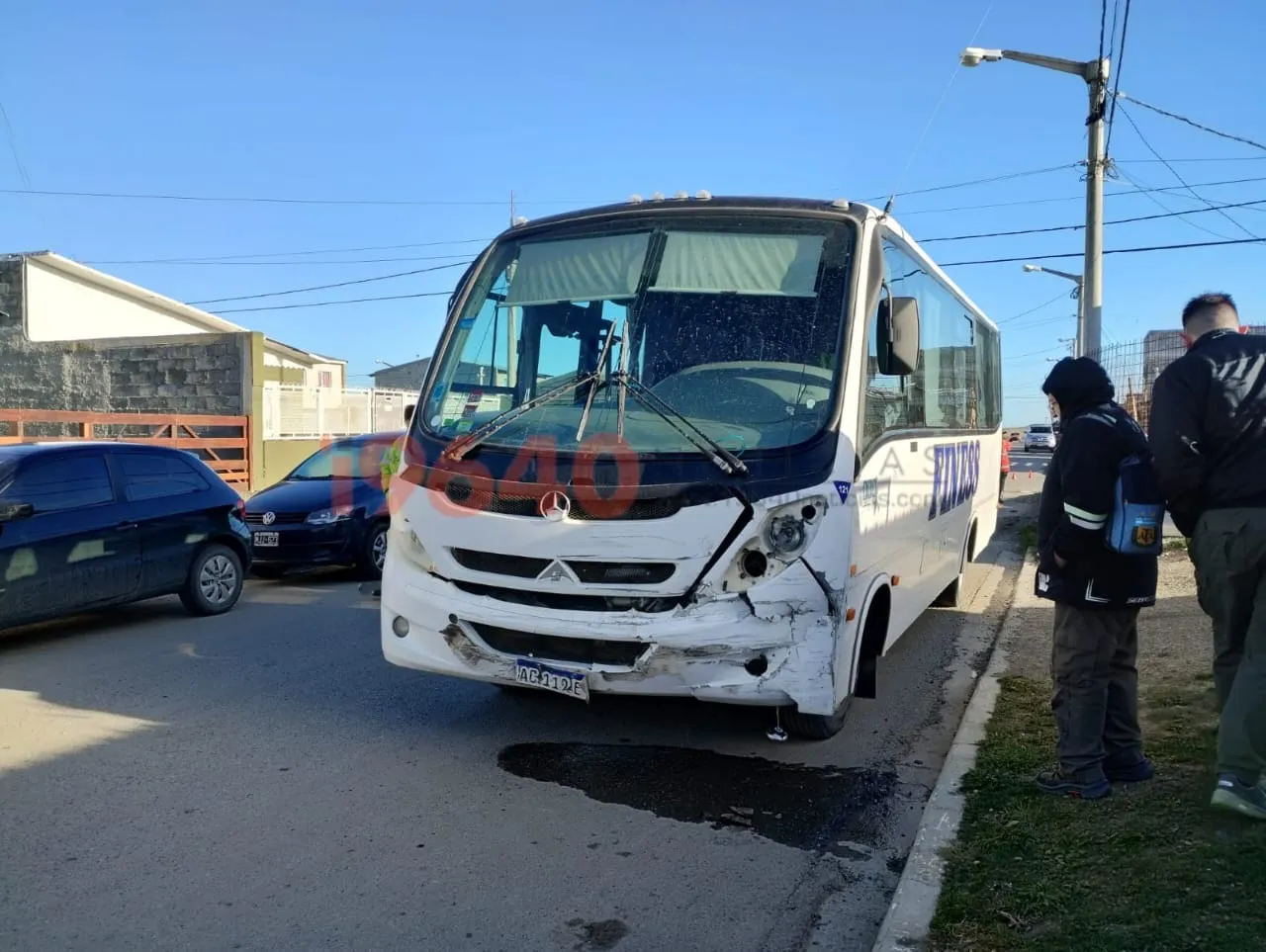 Choque Playero Rojo y Halcón Peregrino (1)