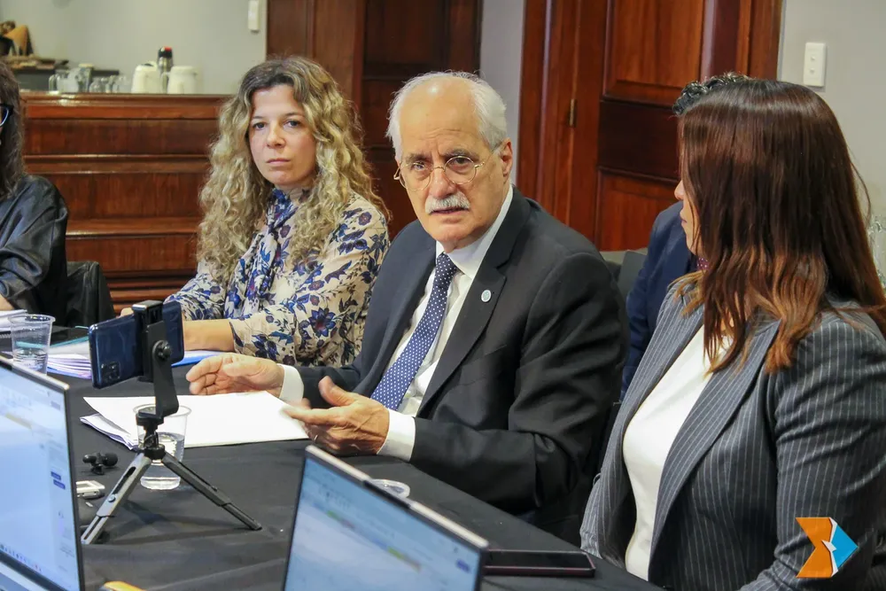 Jorge Taiana comisión investigadora del Radar